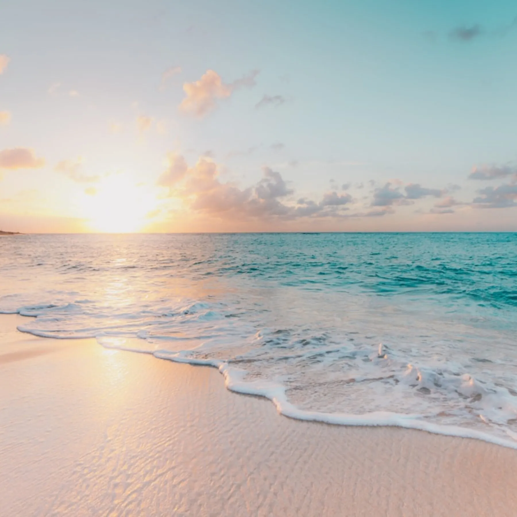 THE CARIBBEAN
